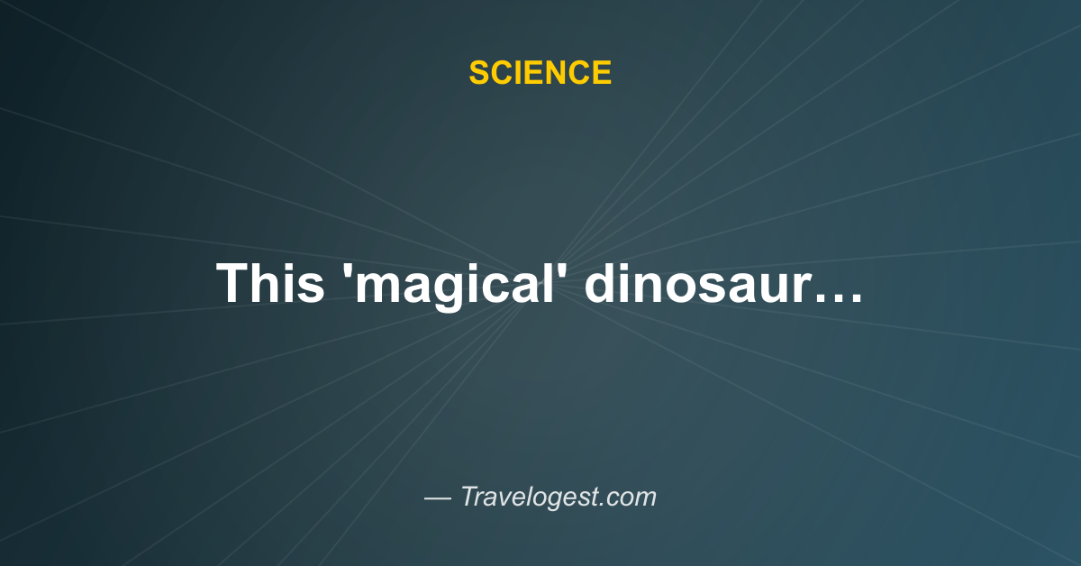 This 'magical' dinosaur specimen emerged from the ground like a polished jewel - NPR - Travelogest